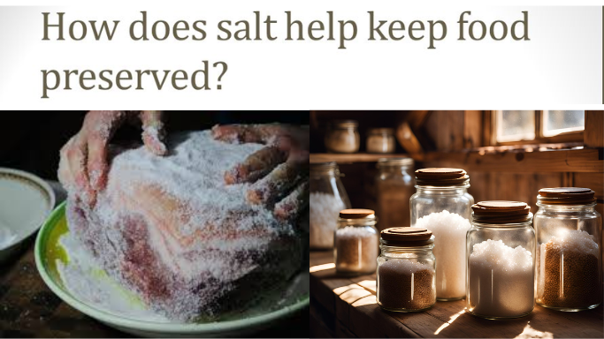 Preserving Meat Using Salt The Role of Salt in Food Preservation
