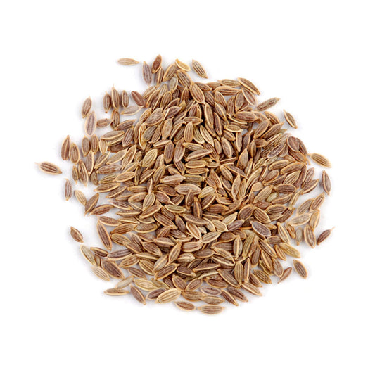 INDIAN DILL SEED - 20 lb bag / box each