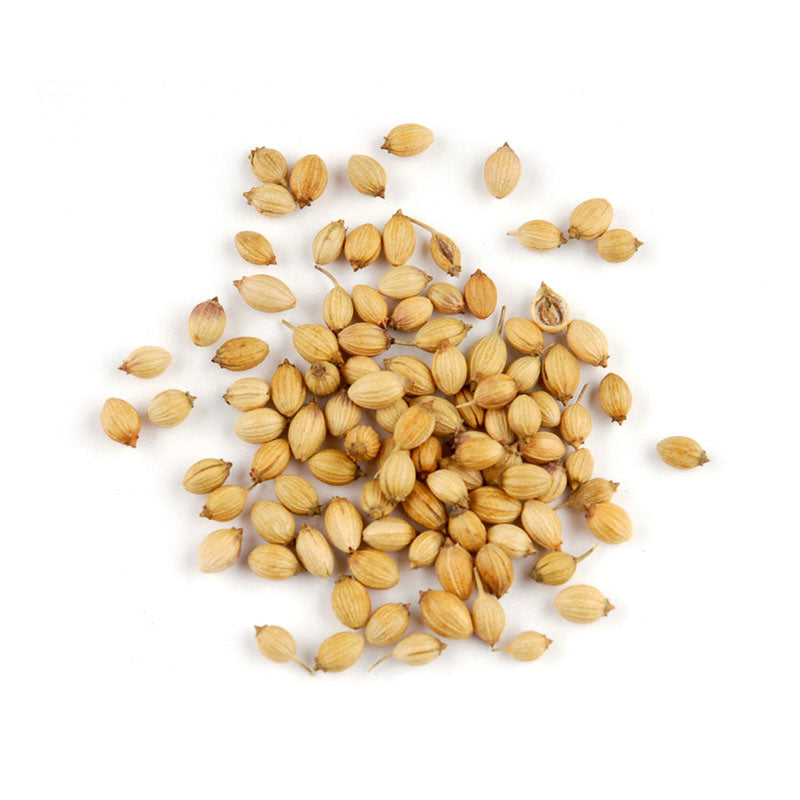 WHOLE CORIANDER SEED - 25 lb bag / box