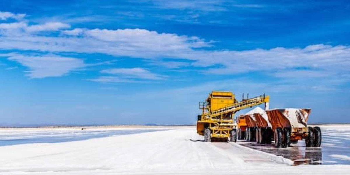 Salt Additives Wholesale Salt - Bulk Ingredient Sea Salt - High Volume, Premium Quality